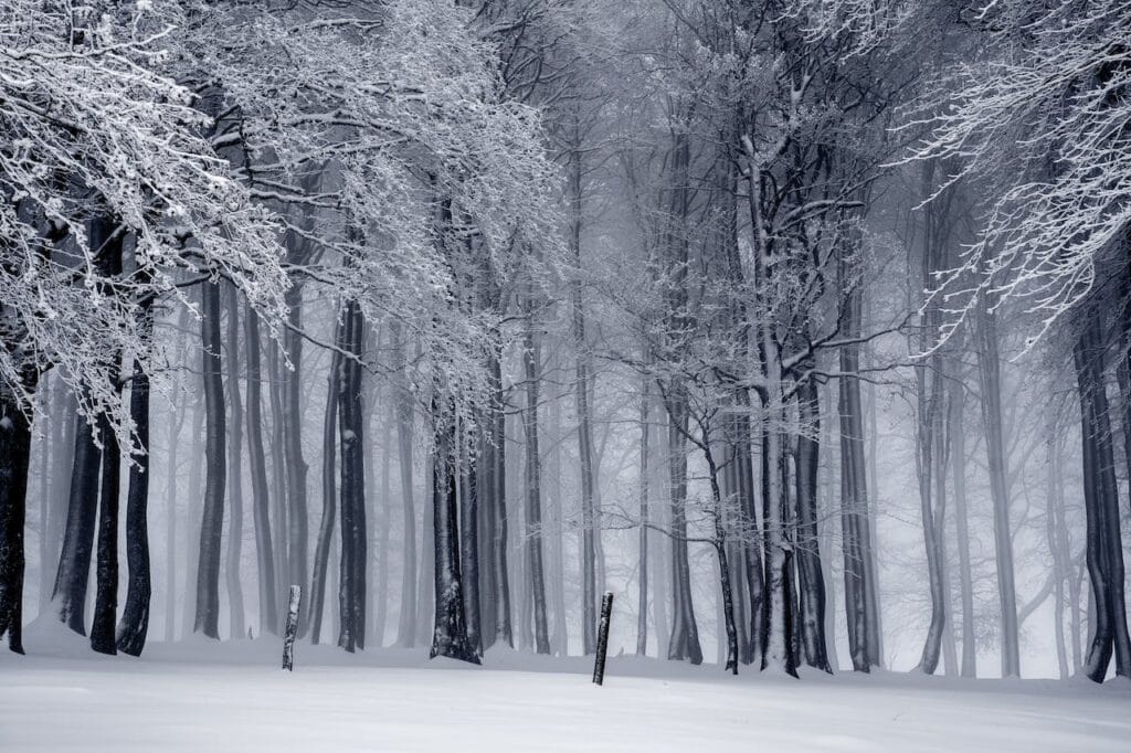 Ohana-collaboration-protect-our-winters-1-percent-for-planet-sustainability