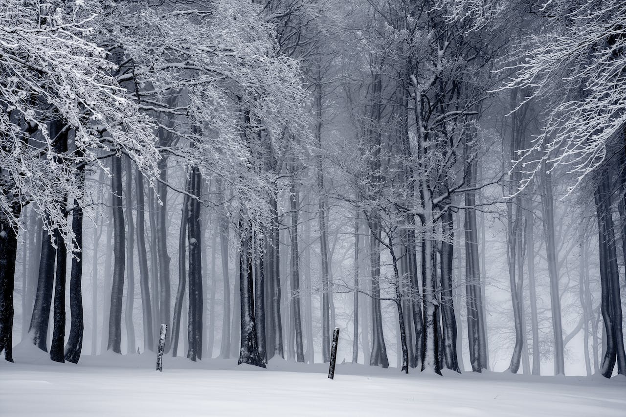 Ohana-collaboration-protect-our-winters-1-percent-for-planet-sustainability