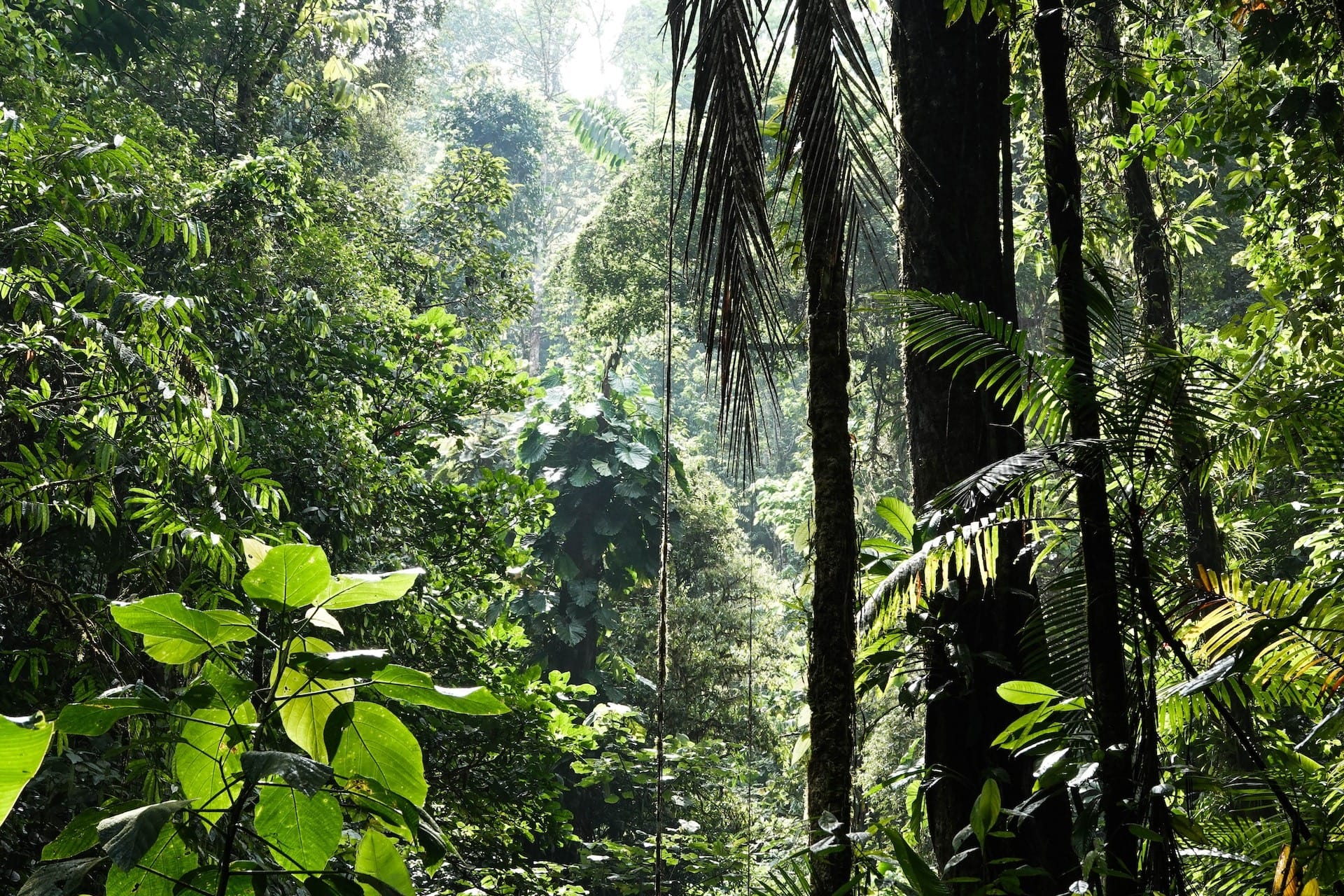 eu-biodiversity-strategy-ohana-public-affairs