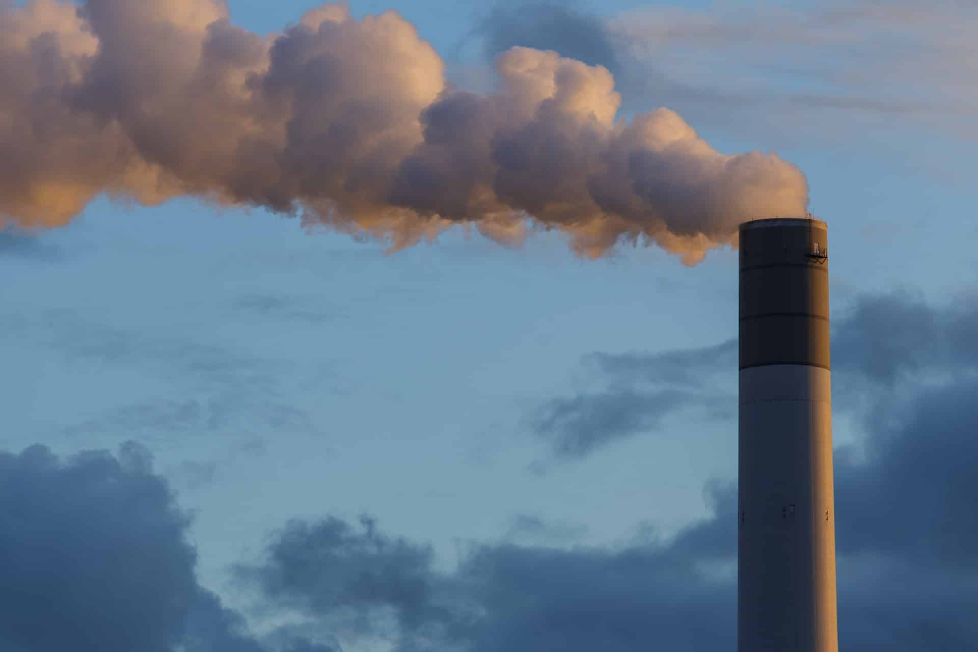 carbon-removal-certification-ohana-public-affairs