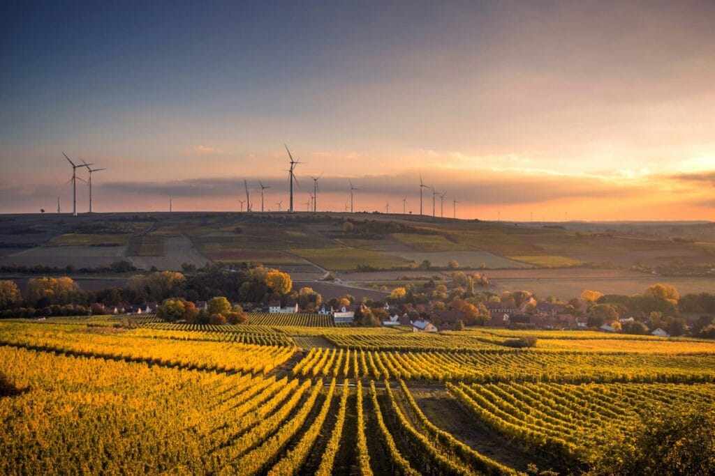 eu-climate-target-2040-ohana-public-affairs