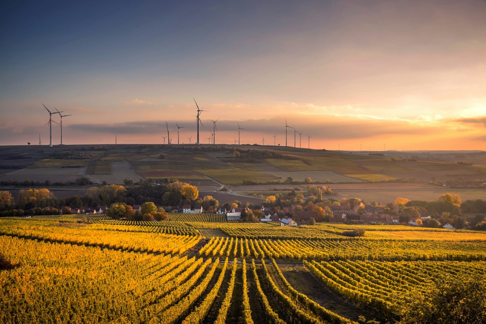eu-climate-target-2040-ohana-public-affairs
